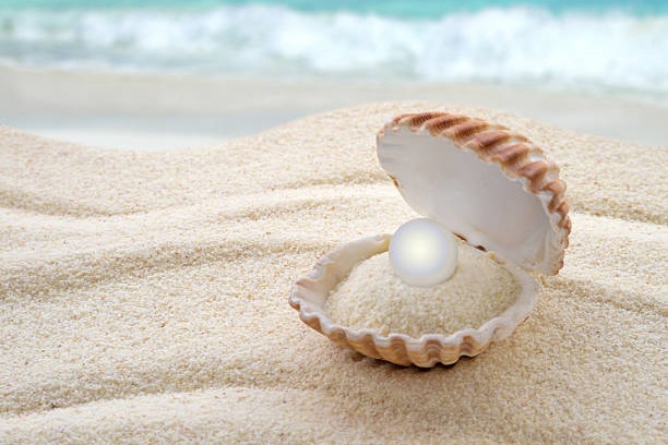 Shell with a pearl on the beach